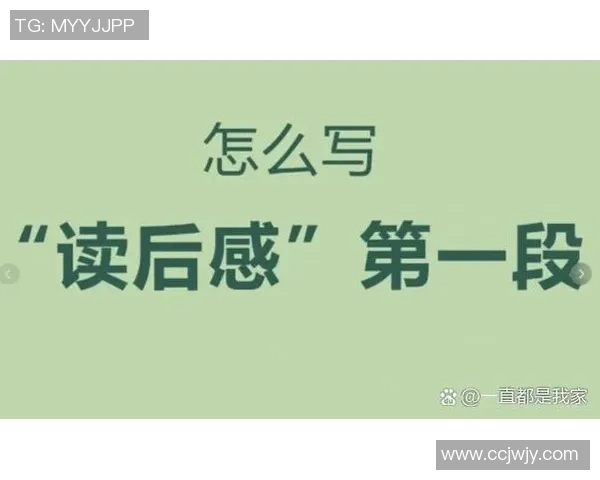 攀岩人生的高峰与低谷张强分享他的攀岩旅程与心路历程